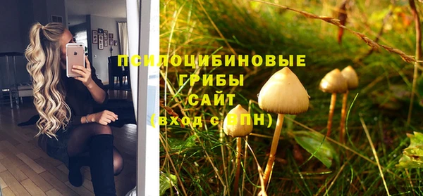индика Алзамай