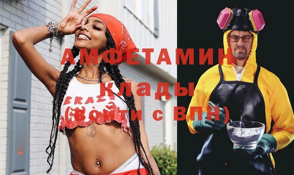 индика Алзамай
