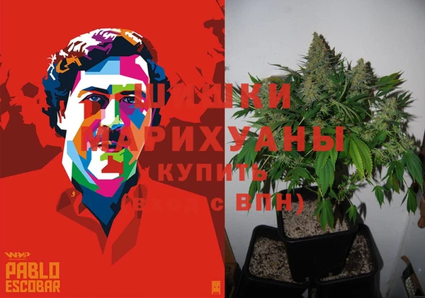 индика Алзамай