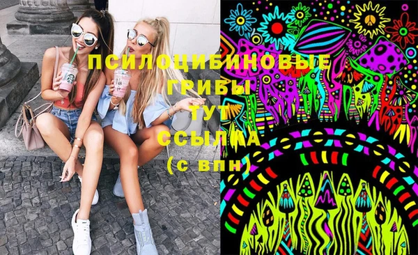 мяу мяу мука Алексин